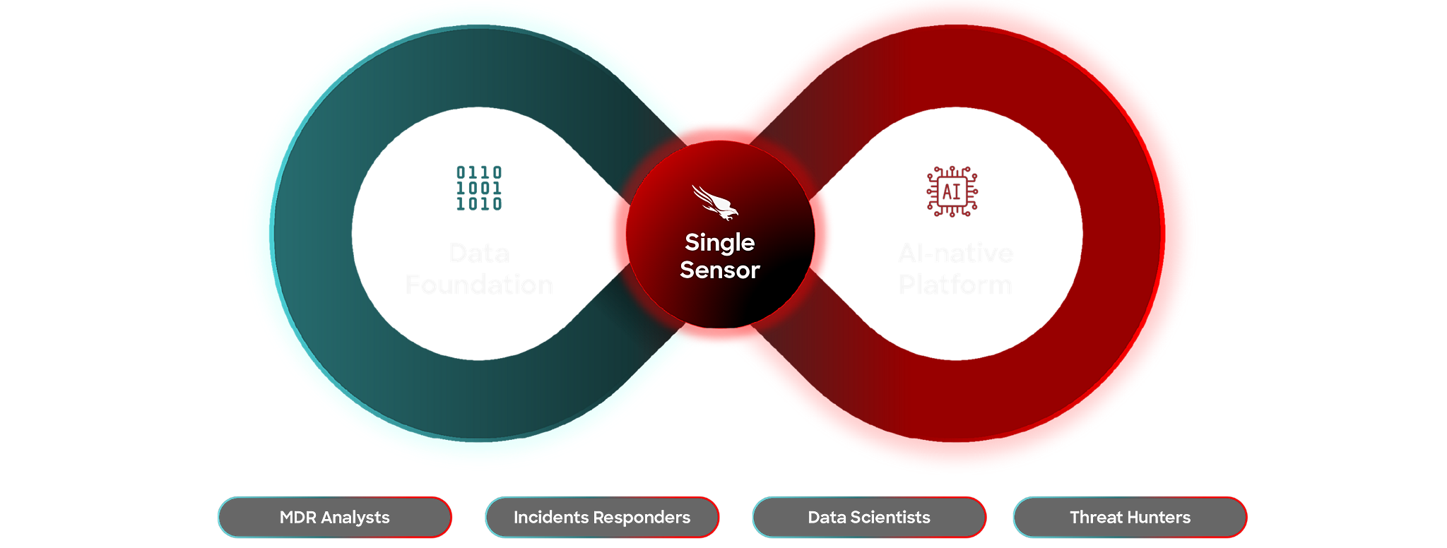 lifecycle graphic